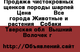 Продажа чистокровных щенков породы шарпей › Цена ­ 8 000 - Все города Животные и растения » Собаки   . Тверская обл.,Вышний Волочек г.